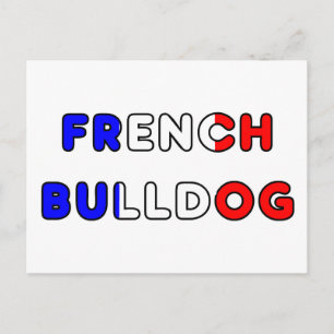 Cartão Postal buldogue francês flg no nome