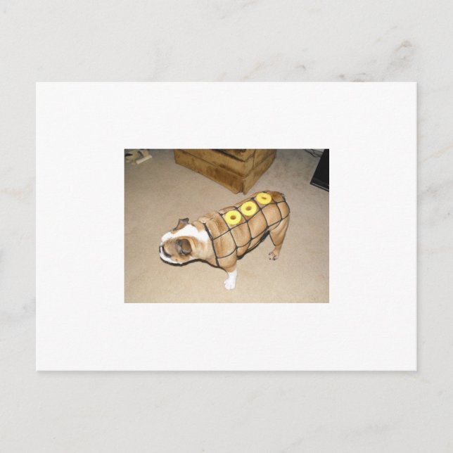 Cartão Postal Buldogue inglês como presunto de mel (Frente)