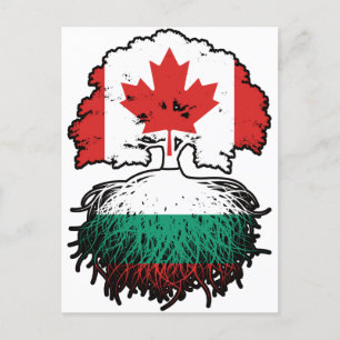 Cartão Postal Bulgária Canadá-Bulgária Bandeira de Raízes de Árv