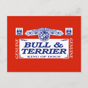 Cartão Postal Bull E Terrier