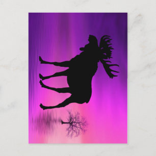 Cartão Postal Bull Moose Silhouette