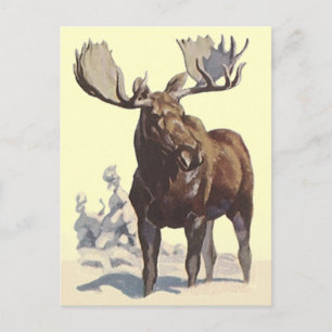 Cartão Postal Bull Moose ~ Sunny Winter Day VIAGEM POSTCARTÃO