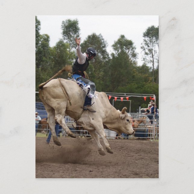 CARTÃO POSTAL BULL RIDING BERT (Frente)