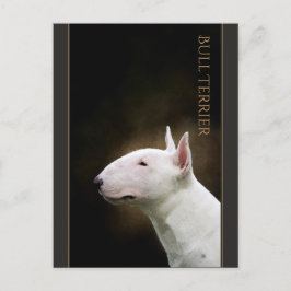 Cartão postal Bull Terrier