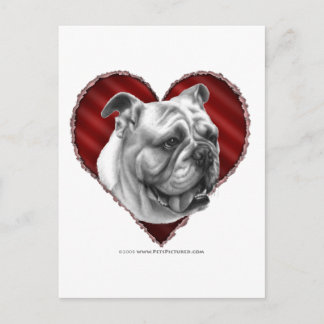Cartão Postal Bulldog com Coração