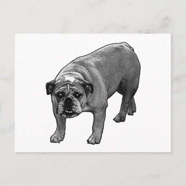 Cartão Postal Bulldog de animação rápida (Frente)