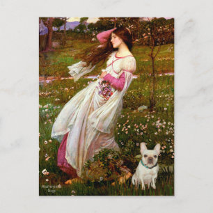 Cartão Postal Bulldog Francês 1 - Flores