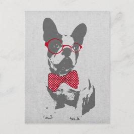 Cartão Postal Bulldog Francês Engraçado Antigo