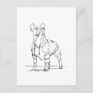 Cartão Postal Bulldog Francês Engraçado – Pensando em Você