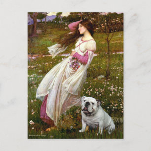 Cartão Postal Bulldog Inglês 9 - Windflowers