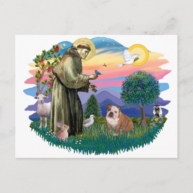 Cartão Postal Bulldog Inglês (branco-castanho) (Frente)