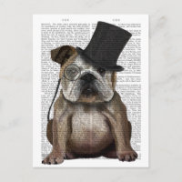 Bulldog Inglês, Formal Hound e Hat