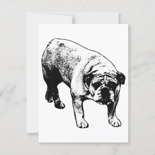 Cartão Postal Bulldog Por Posto