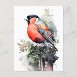 Cartão Postal Bullfinch de Aquarela em uma Ramificação de Pinho