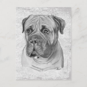 Cartão Postal Bullmastiff