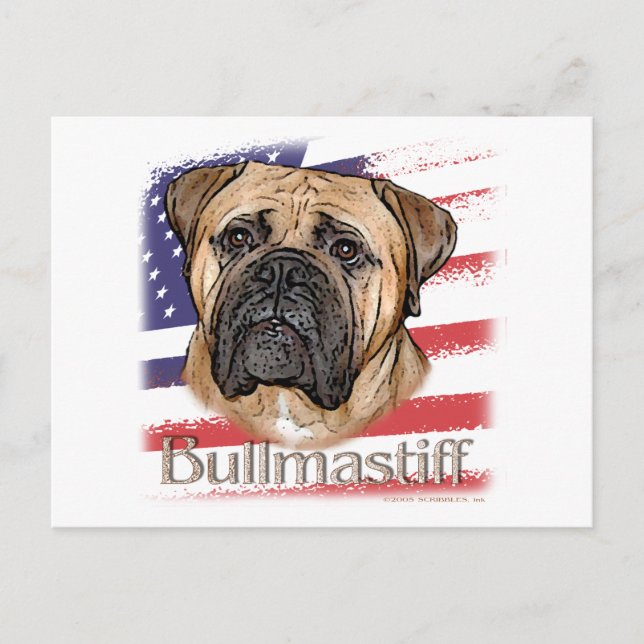 Cartão Postal Bullmastiff (Frente)