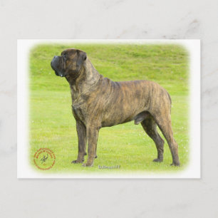 Cartão Postal Bullmastiff 9R071D-077