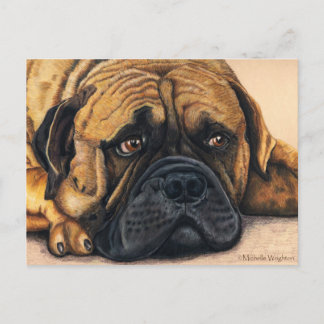 Cartão Postal Bullmastiff Esperando - Arte de Raça de Cachorro