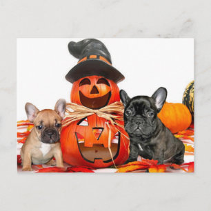 Cartão Postal Bulls Franceses Halloween