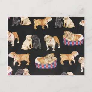 Cartão Postal Bulls & Shar Peis