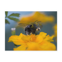 Cartão postal Bumblow