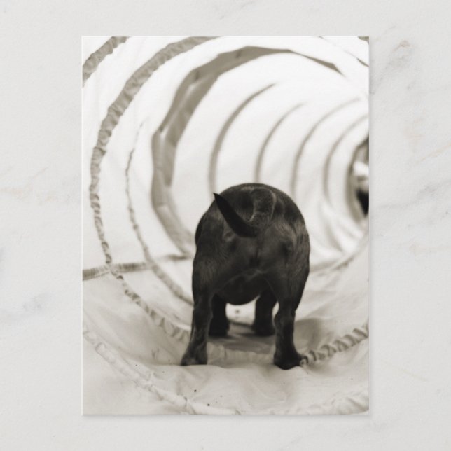 Cartão Postal Bumbum (Frente)