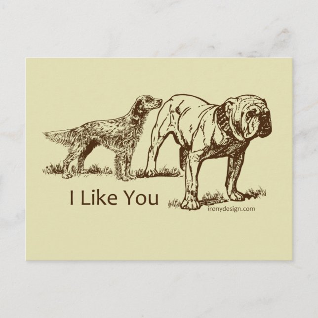 Cartão Postal Bumbum de Cachorros (Frente)