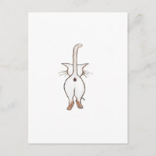 CARTÃO POSTAL BUMBUM O QUÊ?