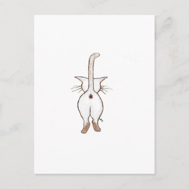 CARTÃO POSTAL BUMBUM O QUÊ? (Frente)