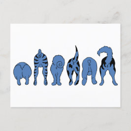 Cartão Postal Bumbuns de Cachorro Azul