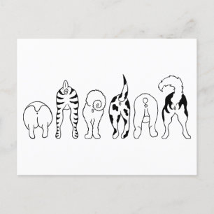 Cartão Postal Bumbuns de cães