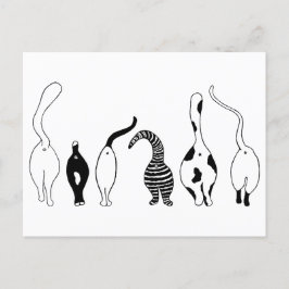 Cartão Postal Bumbuns de gatos