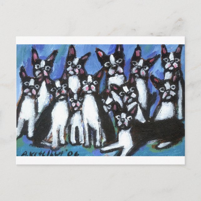 Cartão Postal Bunch of Bostons (Frente)