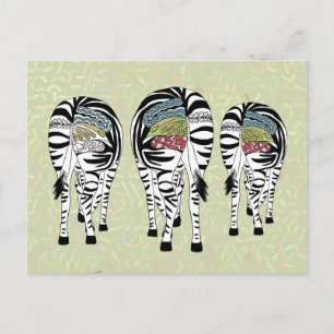 Cartão Postal bunda Zebras