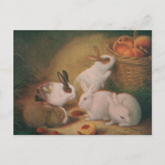 Cartão Postal Bunnies