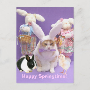 Cartão Postal Bunny Bubba 2
