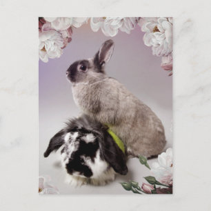 Cartão Postal Bunny Love
