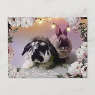 Cartão Postal Bunny Love