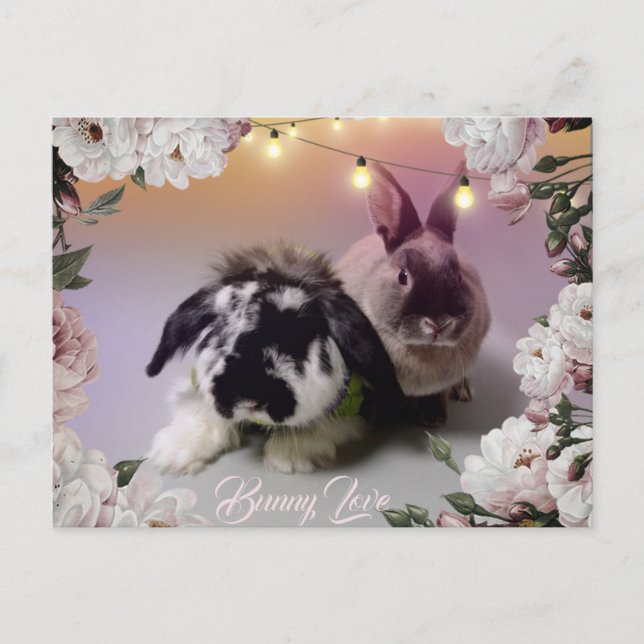 Cartão Postal Bunny Love (Frente)