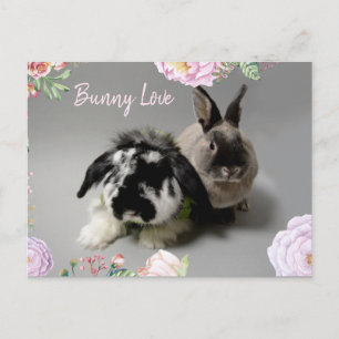 Cartão Postal Bunny Love