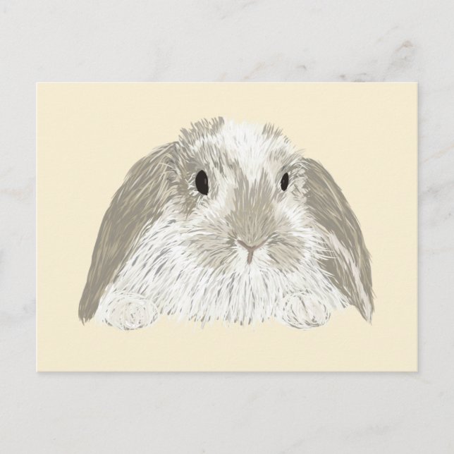 Cartão Postal Bunny Rabbit (Frente)