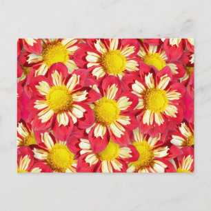 Cartão Postal Buquê Dahlia - coral e branco com amarelo