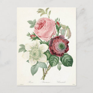 Cartão Postal Buquê de Anêmona Rosa em Aquarela Vintage