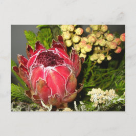 Cartão Postal Buquê de Protea