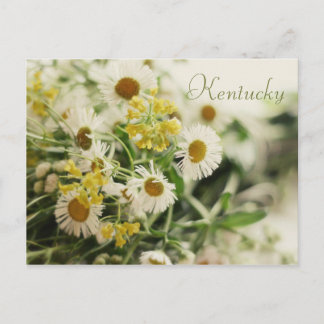 Cartão Postal Buquê de Wildflower por JerseyFawn