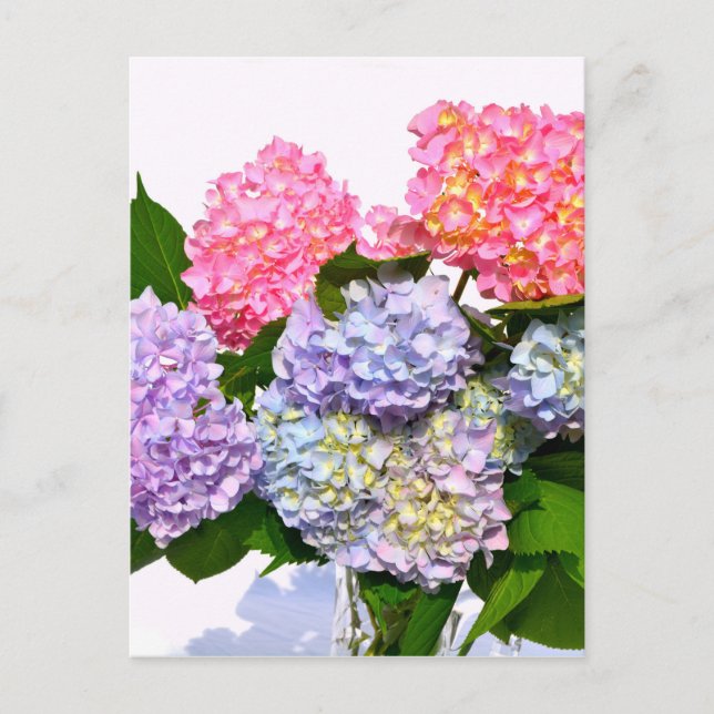 Cartão Postal Buquê Hydrangea (Frente)