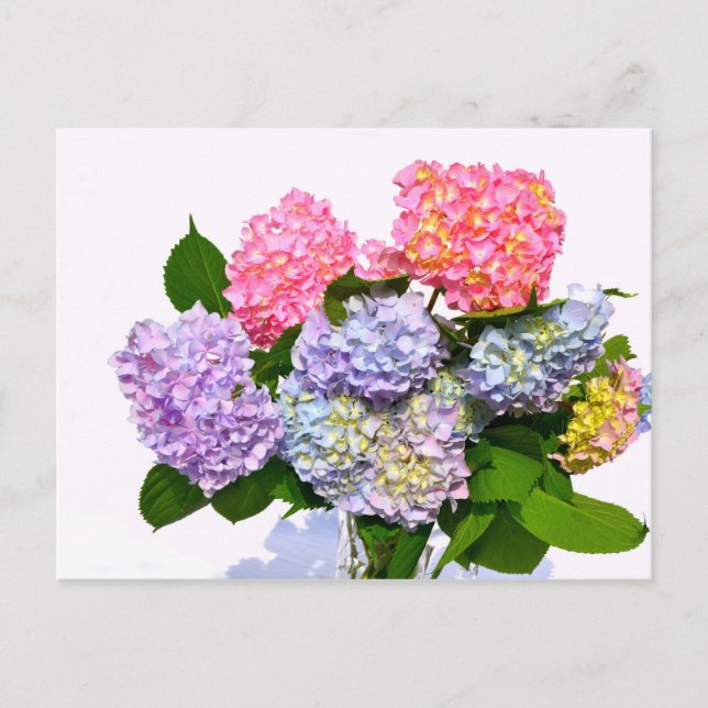 Cartão Postal Buquê Hydrangea (Frente)