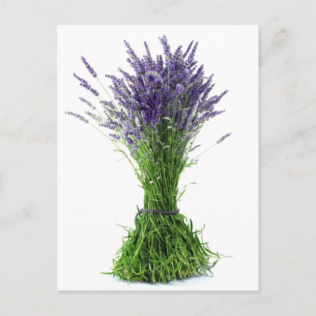 Cartão Postal buquê lavanda (Frente)