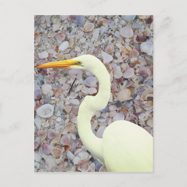 Cartão Postal Buraco branco (Frente)