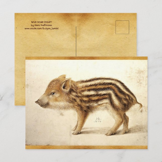 Cartão Postal BURAÇO WILD PIGLET - Pergaminho Antiquado de Desen (Frente/Verso)